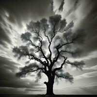 ai generado negro y blanco imagen de un antiguo roble árbol con un nublado cielo. generativo ai foto