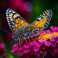 AI generated Macro shots, Beautiful nature scene. Closeup beautiful butterfly sitting on the flower in a summer garden. generative ai photo