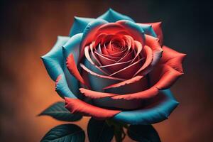 AI generated Beautiful multicolored rose on a dark background close-up. generative ai photo