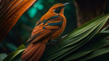 AI generated Orange-bellied Pitta, Pitta rufescens. generative ai photo