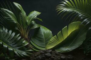 AI generated Tropical palm leaves on dark background. generative ai photo