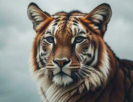 AI generated Portrait of a tiger on the background of the cloudy sky. generative ai photo