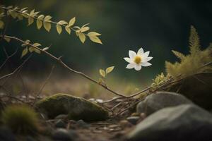 ai generado blanco flor en el bosque en un antecedentes de verde hojas y piedras generativo ai foto