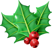 3D Christmas Twig of Holly with Leaves and Berries png