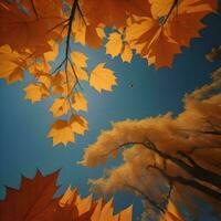 AI generated Autumn background with yellow leaves and blue sky, generative ai photo