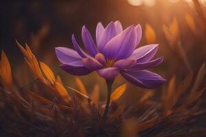 ai generado púrpura azafrán flor en el antecedentes de otoño hojas en el rayos de el ajuste Dom. generativo ai foto