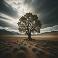 AI generated Lonely tree in the desert, generative ai photo