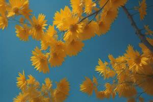 AI generated Yellow flowers on blue sky background. Sunlight through the branches. generative ai photo