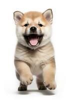 AI generated Akita Puppy Running with Playful Expression and Open Mouth photo