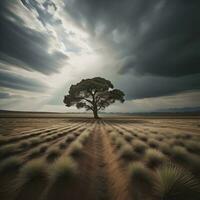 ai generado solitario árbol en el desierto. dramático cielo antecedentes. generativo ai foto