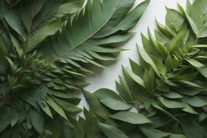 AI generated Eucalyptus leaves on white background, flat lay. generative ai photo