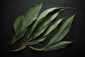 AI generated Eucalyptus leaves on black background. Top view. generative ai photo