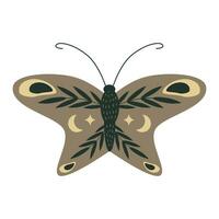 Butterfly with an ornament isolated on a white background. Moth, moon, star and leaves vector