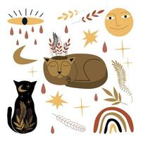 Vector mystical set. Cats, plants, moon, stars isolated on a white background. For postcards, posters, prints.