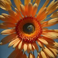 AI generated Orange gerbera flower with blue sky background, close up. generative ai photo