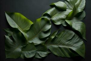 AI generated Tropical leaves on black background, flat lay. Tropical foliage. generative ai photo