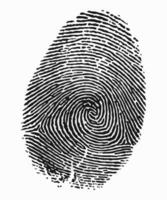 Fingerprint identity verification concept, biometric, security background vector