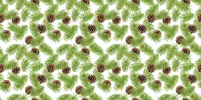 Fir tree branches seamless pattern, pine branch, Christmas conifer isolated on white background photo