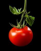 One tomato on branch with leaves over black background with copy space, AI generated photo