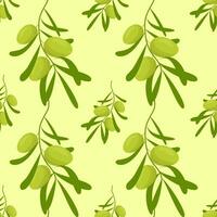 Olive seamless pattern. decorative olive branch. Branches with green olives on white background. For labels, packaging or fabric. vector