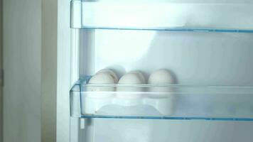 blanco huevos en el refrigerador estante. video