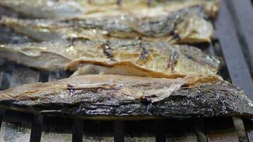 horneando y asado pescado en parilla parrilla. video