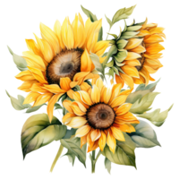 AI generated Watercolor sunflower illustration png