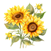 AI generated Watercolor sunflower illustration png