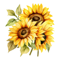 AI generated Watercolor sunflower illustration png