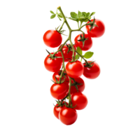 AI generated Cherry Tomatoes on the Vine  on transparent background PNG image