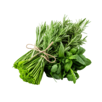 AI generated Fresh Herbs Bundle on transparent background PNG image