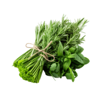 AI generated Fresh Herbs Bundle on transparent background PNG image