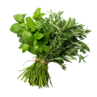 AI generated Fresh Herbs Bundle on transparent background PNG image