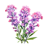 ai genererad vattenfärg statice blomma illustration png