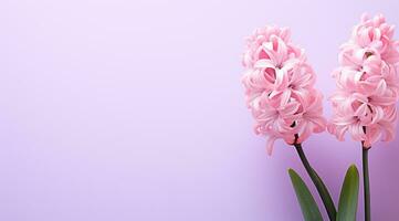 AI generated hyacinths against a flat pink background photo