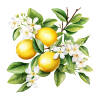 ai genererad vattenfärg citron- illustration png