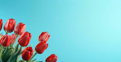 AI generated red tulips on a blue background with copy space photo