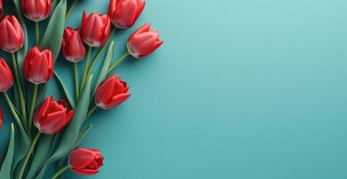 AI generated red tulips on a blue background with copy space photo