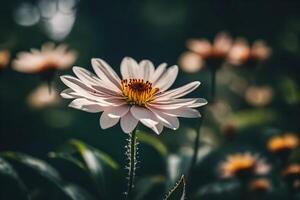 AI generated a single white flower in the middle of a field photo