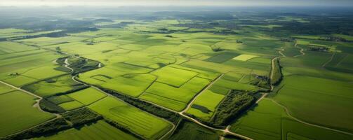 AI generated aerial aerial view of the countryside shot photo