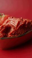 Tomato paste with ripe tomatoes. video