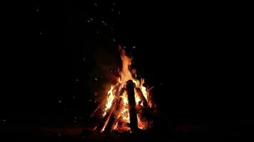 natt bål brännskador i de mörk skog - isolerat på svart. långsam rörelse. flammande lägereld på nattetid. plats för bål. brand grop utomhus, trä på brand, flygande gnistor och rök - statisk skott video