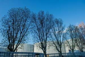 el bocconi Universidad de Milán tiene caracterizada un grande zona de urbano tela con sus varios edificios foto