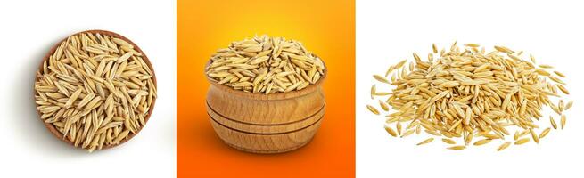 Oat seeds isolated on white background with clipping path, wheat grains photo