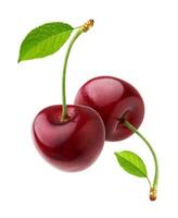 Cherry isolated on white background with clipping path photo