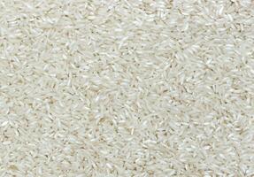 Polished rice grain texture photo