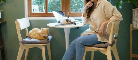 woman working from home with cat. cat asleep on the laptop keyboard. assistant cat working at Laptop photo