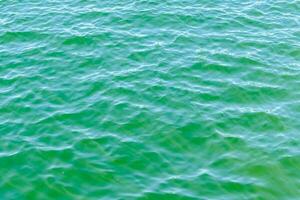 the surface of the water is green photo