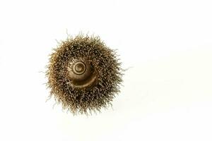 a brown spiky ball on a white background photo