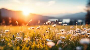 AI generated Tranquil Spring Meadow at Sunrise with Blooming Wildflowers and Space for Text   Emblematic of Fresh Starts photo